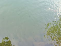 -南京市无想山景区