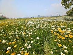 -无锡新湖铂尔曼大酒店