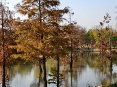 -上海长兴岛郊野公园