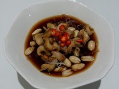 鲜山葵捞活海花螺-北京厨房(SKP店)