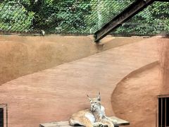-青藏高原野生动物园