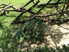 -上海外国语大学(虹口校区)