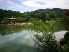 -四明山国家森林公园