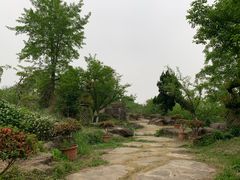 -秀丽东方
