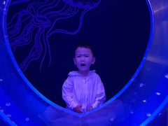 -海合安武汉极地海洋公园