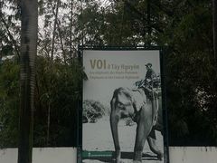 -越南民族学博物馆