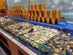 -丰卓会海鲜自助(中润大道店)