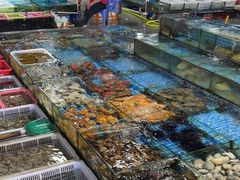 -霞涌市场海鲜摆卖区