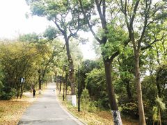 -广州市白云山风景名胜区