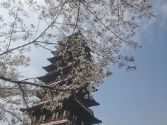 -宜兴龙背山森林公园