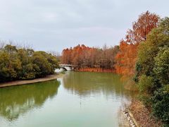 -上海海湾国家森林公园