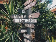 -The Grounds of Alexandria