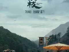 -保定金棕榈先天下国际影城(LUXE)