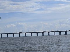 -宝安西湾红树林湿地公园