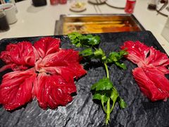 -红鼎坊·老成都火锅(新南门店)