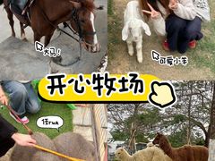 -盈香心动乐园