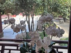 -钱王祠