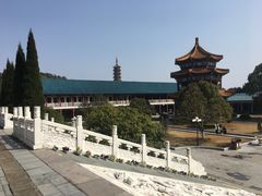 -天下玉苑