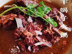 -芦月轩羊蝎子(北蜂窝店)