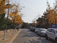 -八大关景区