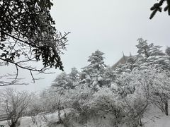 -峨眉山风景名胜区
