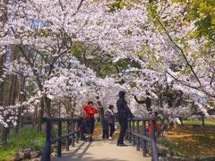 -共青国家森林公园-售票处