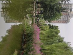 -木塔寺遗址生态公园