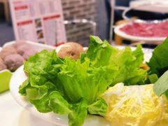 -八合里牛肉火锅(新洲店)