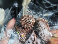 -Belice Chocolate Kingdom