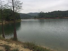-凤岗南门山森林公园