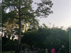 -晓港公园