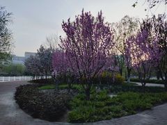 -国家动漫园
