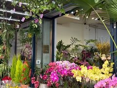 -溪岸路花鸟市场