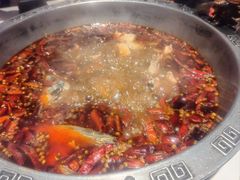 -销魂美蛙鱼头火锅(上海首店)