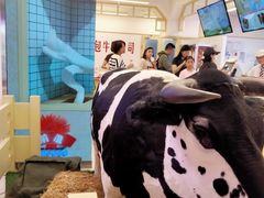 -红星前进面包牛奶公司(君太店)