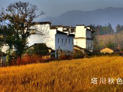 -塔川景区