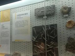 -浙江自然博物院(杭州馆)