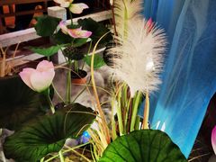 -荷塘秋月·本帮江浙菜(国权路店)