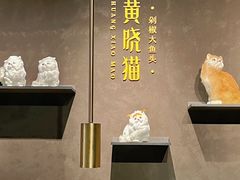 -黄晓猫剁椒大鱼头(海岸城店)