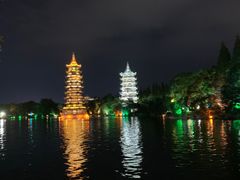 -椿记烧鹅(叠彩店)