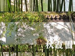 -秋霞圃