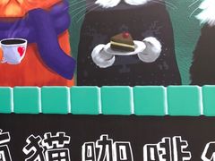 -有猫主题·治愈系猫咖(曾厝垵店)
