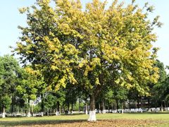 -眉山湿地公园(东坡区)