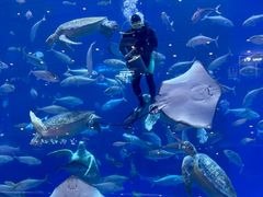 -成都浩海立方海洋公园