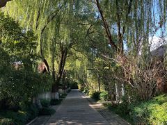 -天目湖山水园