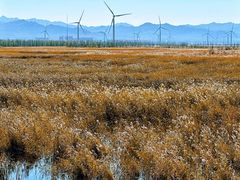 -野鸭湖国家湿地公园