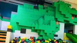 -恐龙探索乐园(磁器口店)