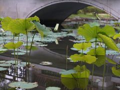 -厦门园林博览苑