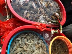 -芦潮港集贸市场