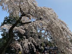 -京都御所